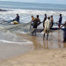 Be Fair To Artisanal Fishers – GCGOA To Government