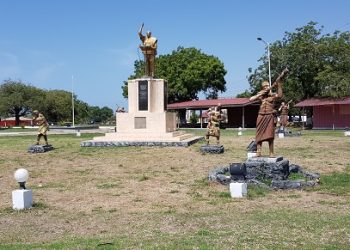 Stray Animals Destroy Green Ghana Trees At Tema Nkrumah Park
