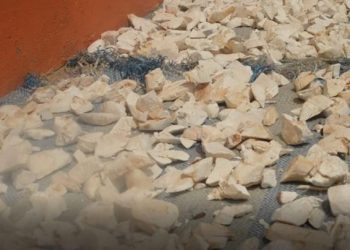 Sun-dried ‘Konkonte’ Lowers Blood Sugar Levels – KNUST Research Reveals