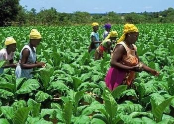 Farmers Threaten Nationwide Protest Over E-levy