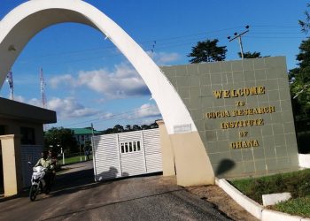 Over 60 Workers Of CRIG Laid Off Due To Chieftaincy Dispute