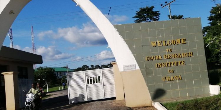 Over 60 Workers Of CRIG Laid Off Due To Chieftaincy Dispute