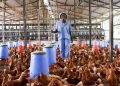We Need Money To Cater For Our Families – Poultry Farmers To Government