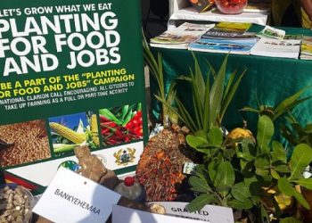 Planting For Food And Jobs Is Not Entirely Successfully Stop The Exaggeration And Work To Make it Better- FSG To Agric Minister