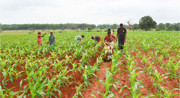 Smallholder Farmers Have No Choice But To Cope With The Growing Trend Of Being Faced With Subsidy-Cut Every Crop Season – Peasant Farmers