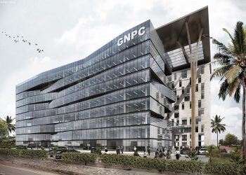 GNPC Failing ‘Miserably’ At Its Core Mandate –  Elizabeth Vaah