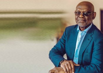 No Need To Go To IMF To Revive The Economy – Kwesi Botchwey