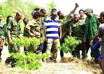 Pay Our 4 Month Allowance, Else No Green Ghana – National Youth In Afforestation