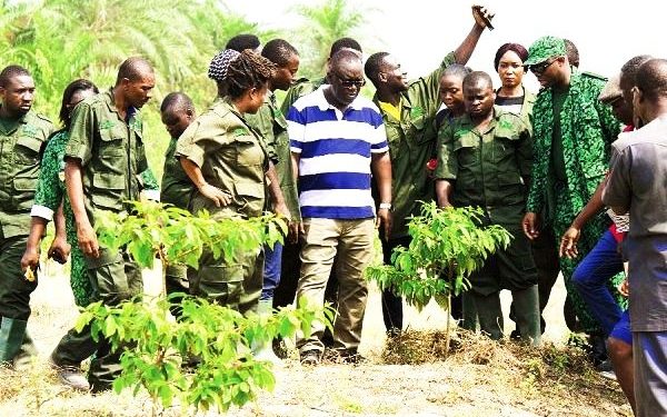 Pay Our 4 Month Allowance, Else No Green Ghana – National Youth In Afforestation