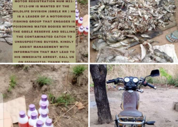 Poisonous Fishes Have Found Their Way Into Upper West Markets