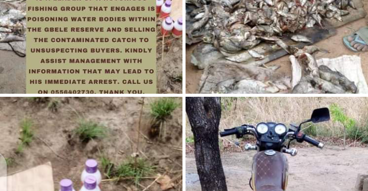 Poisonous Fishes Have Found Their Way Into Upper West Markets