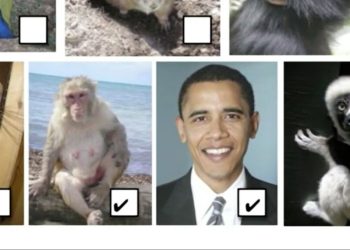 Michigan teacher placed on leave after including photo of Obama in assignment about primates