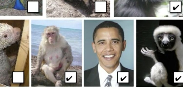 Michigan teacher placed on leave after including photo of Obama in assignment about primates