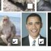 Michigan teacher placed on leave after including photo of Obama in assignment about primates