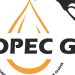COPEC Disagrees With President Akuffo Addo’s Statement On Taxes On Petroleum Product