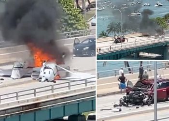 Several injured after plane crashes into US motorway and bursts into flames