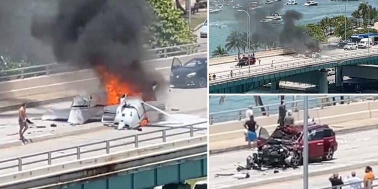 Several injured after plane crashes into US motorway and bursts into flames