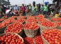 Prices Of Tomato Will Drop Due To High Production; But Our Only Problem Is The Post Harvest Loses – Eric Osei Tuffuor