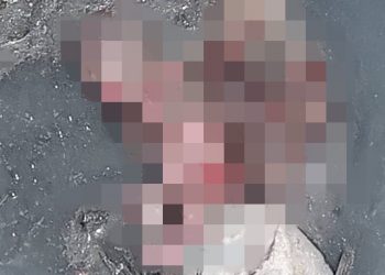 One month-old Baby Dumped In Gutter At Nungua