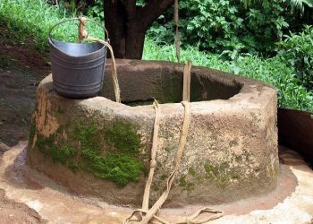 20-Year-Old Woman Busted For Drowning Her Twins In A Well