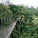 Kakum National Park: Management Announces Alternative Routes Due To Rains And Floods
