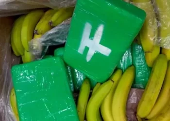 Cocaine Shipment Worth $83 Million Gets Delivered To Supermarkets By Mistake