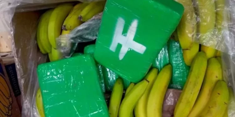 Cocaine Shipment Worth $83 Million Gets Delivered To Supermarkets By Mistake