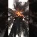 Duayaw Nkwanta: Coconut Tree Catches Fire After A Heavy Thunderstrike (Video)