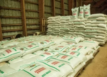 Togo Intercepts 40 Tons Of Their Maize Being Smuggled Into Ghana Via Aflao