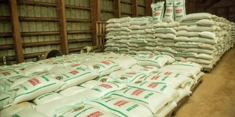 Togo Intercepts 40 Tons Of Their Maize Being Smuggled Into Ghana Via Aflao