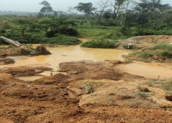 Land Prospecting Is Damaging Our Ecosystem, Take Out Licenses For Gold Prospecting – Group To Minerals Commission
