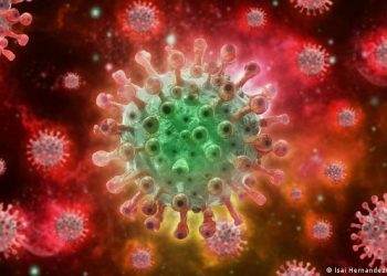 Breaking: WHO Declares Monkeypox Outbreak A Global Public Health Emergency