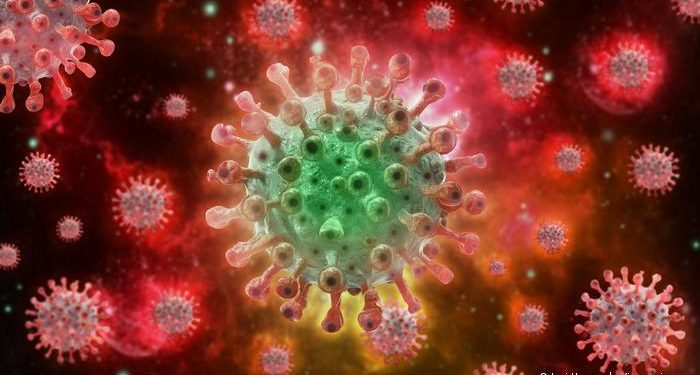 Breaking: WHO Declares Monkeypox Outbreak A Global Public Health Emergency