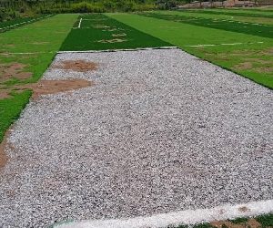 Man Who Stole Artifical Grass Meant For Drobo Astroturf Jailed 7 Years