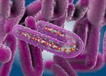 Ghana Records Two Suspected Cases Of Marburg Virus Disease