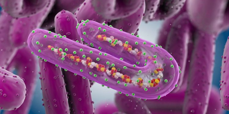 Ghana Records Two Suspected Cases Of Marburg Virus Disease