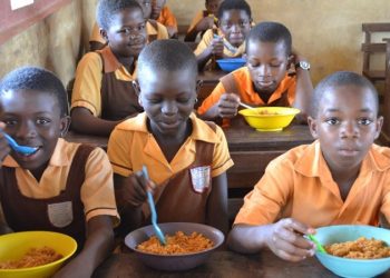 School Feeding Meals Lack Nutrients – Nutritionist