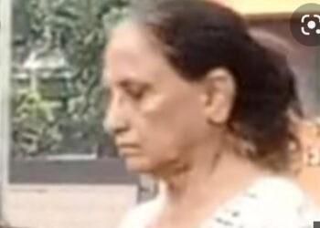 72-year-old lawyer who practised with fake license for decades held