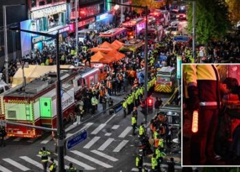 Death toll soars to 146 after horror Halloween crush in South Korea