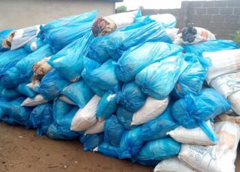 9 Ghanaians Get 72 Years Jail Term For Smuggling 10,843kgs Cannabis Into Nigeria