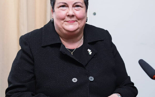 There are powerful forces behind ‘galamseyers’ – US ambassador to Otumfuo