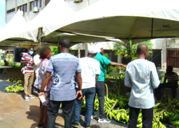 Gov’t not subsidizing PFJ market foodstuff – Agric Ministry