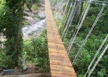 First canopy walkway in Volta Region opens