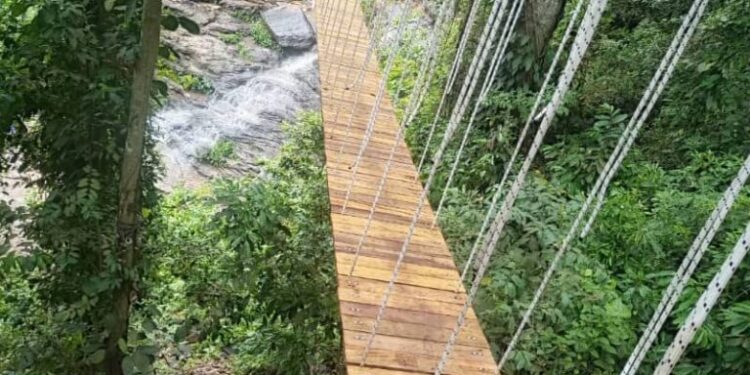 First canopy walkway in Volta Region opens