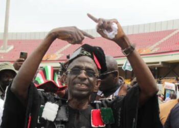 Asiedu Nketia defeats Ofosu Ampofo to become new Chairman Of NDC