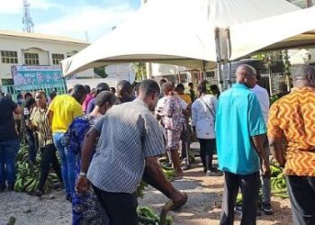 E/R: PFJ market fails to meet expectations ahead of Christmas