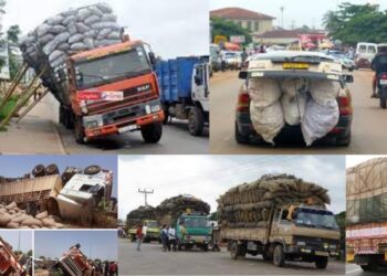 Police introduce Operation PAILES to check insecure loading of vehicles