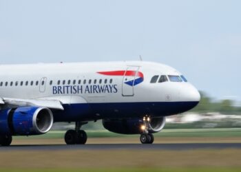 British Airways stewardess arrested after pilot called cops at 30,000ft fearing she was drunk and possibly on drugs