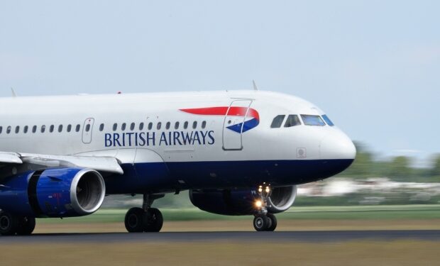 British Airways stewardess arrested after pilot called cops at 30,000ft fearing she was drunk and possibly on drugs