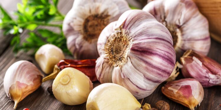 Pregnant women advised not to over eat garlic